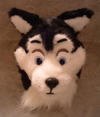 husky2