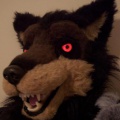 werewolfhead4.jpg