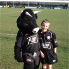 Neath Mascot Brian the bull