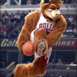 bull mascot