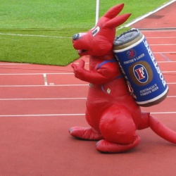 inflatable roo