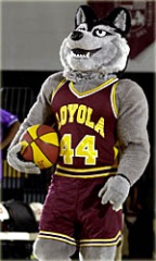 Loyola-wolf