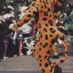 cheetah4