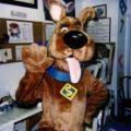Scooby1