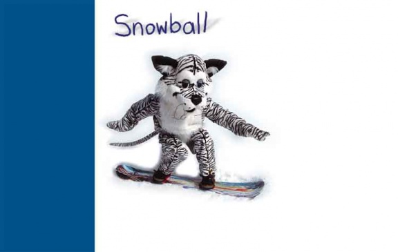 snowball1