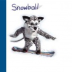 snowball1