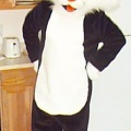 sylvester front