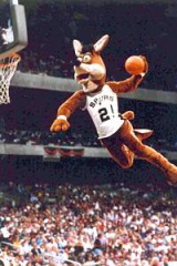 001204 coyote dunk
