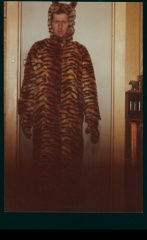TigerMan IN A Tigers Costume