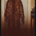 TigerMan IN A Tigers Costume low