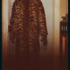 TigerMan IN A Tigers Costume low
