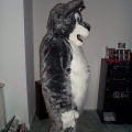suit2