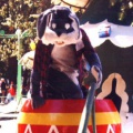 svbun1