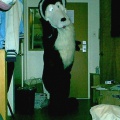 suit2