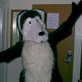 suit5