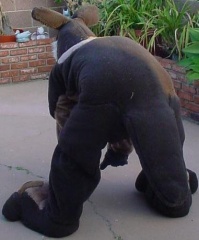 2783330160078182032Rmywkc ph