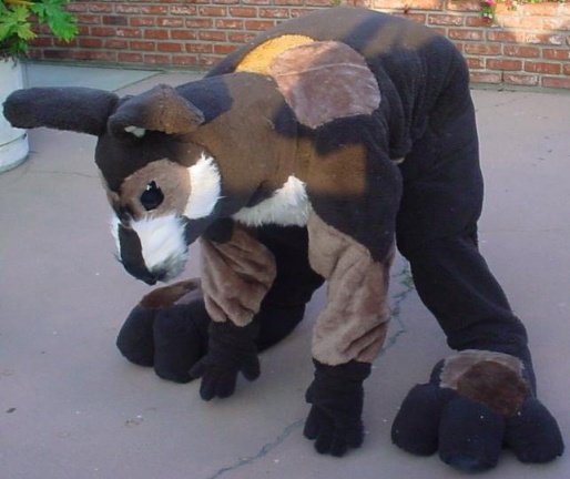 2977795410078182032JAzmSd ph