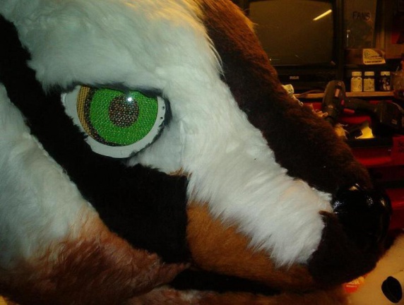 2504428730078182032criyHf ph