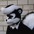 serious skunk 01