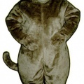 MOUSE2