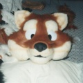 foxhead1