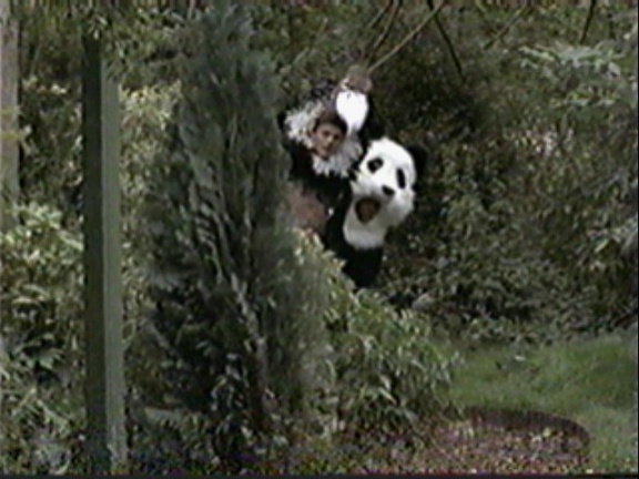 panda 2bvulture