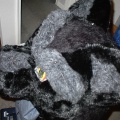meanwolf29