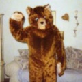 Bear17