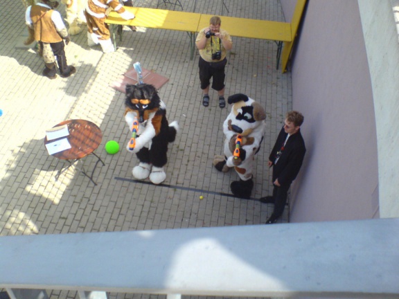 ReabHusky CuteFox DSC00637