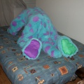 20040103 Sulley 06