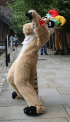 MattLion 1214423425.mattlion img 4522