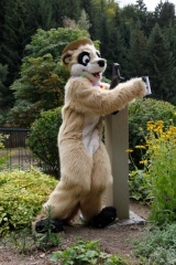 Bastlwastl84 MG 3074