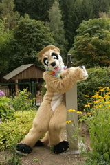 kamuniak ef15 5ra99h