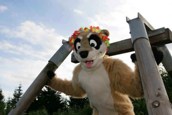 kamuniak ef15 5rcdzd