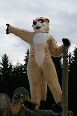 kamuniak ef15 5rcekc