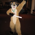 Johnstripedfur img 1835