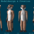 trmeerkat ModelCreation4