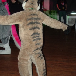200806 Confuzzled