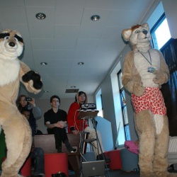 200905 Confuzzled