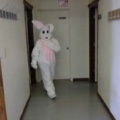 bunny 04 14 01 10