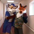 two-foxes2