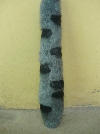 tail