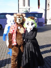 Tanuki BFM200802 005