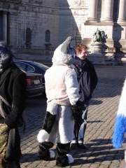 Tanuki BFM200802 006