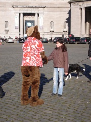 Tanuki BFM200802 007