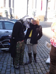 Tanuki BFM200802 008