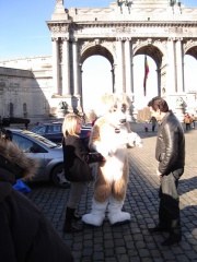 Tanuki BFM200802 009