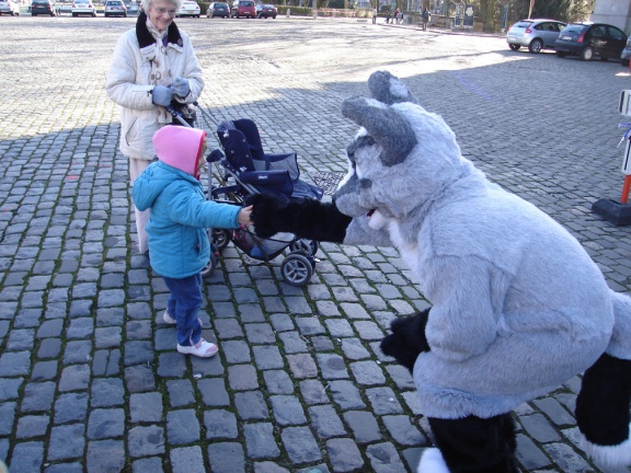 Tanuki BFM200802 010