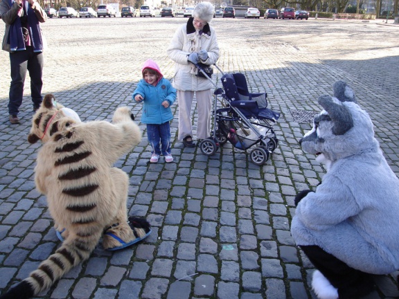 Tanuki BFM200802 011