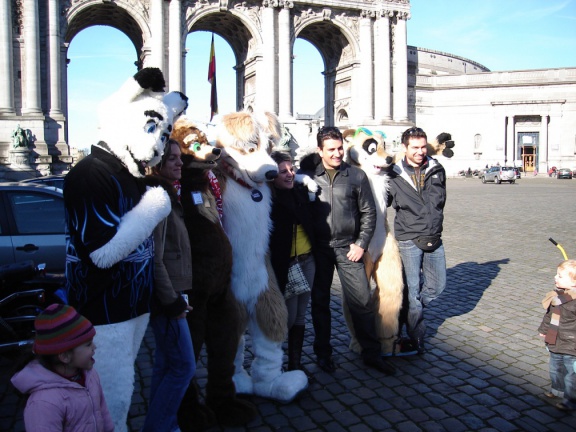 Tanuki BFM200802 015